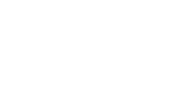 10 disc