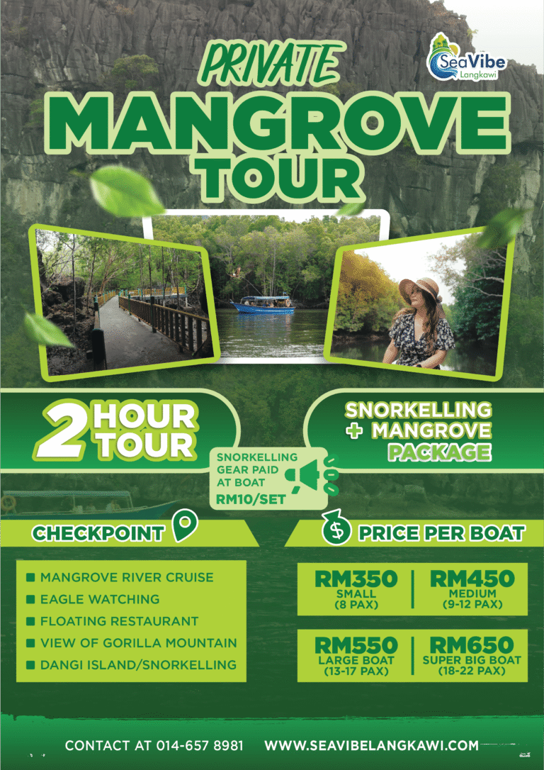 Private 1 Hour Mangrove + 1 Hour Snorkelling