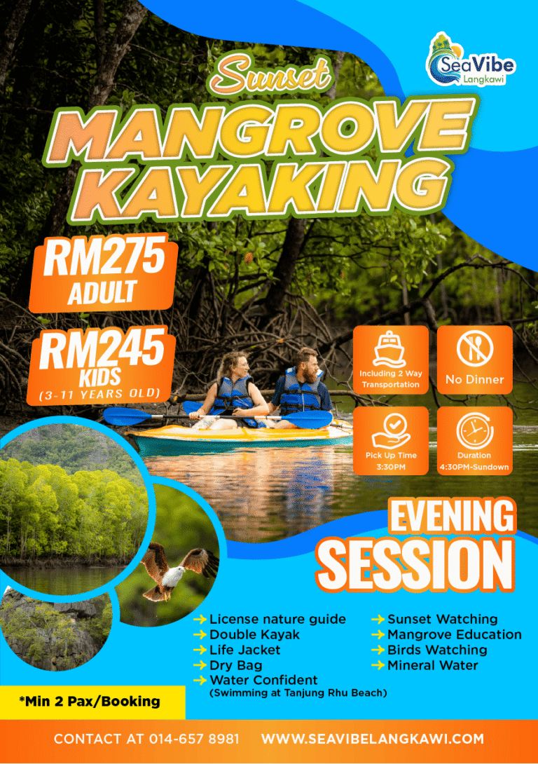 Evening Kayak Include Transport