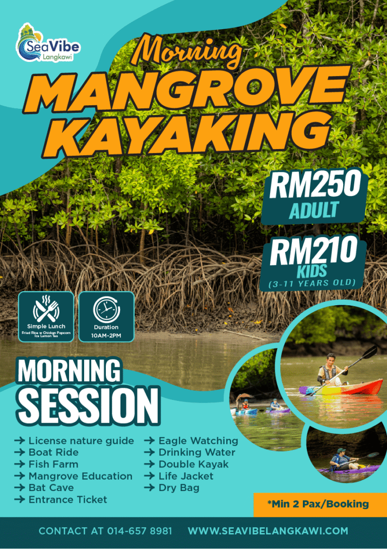 Evening Kayak No Transport