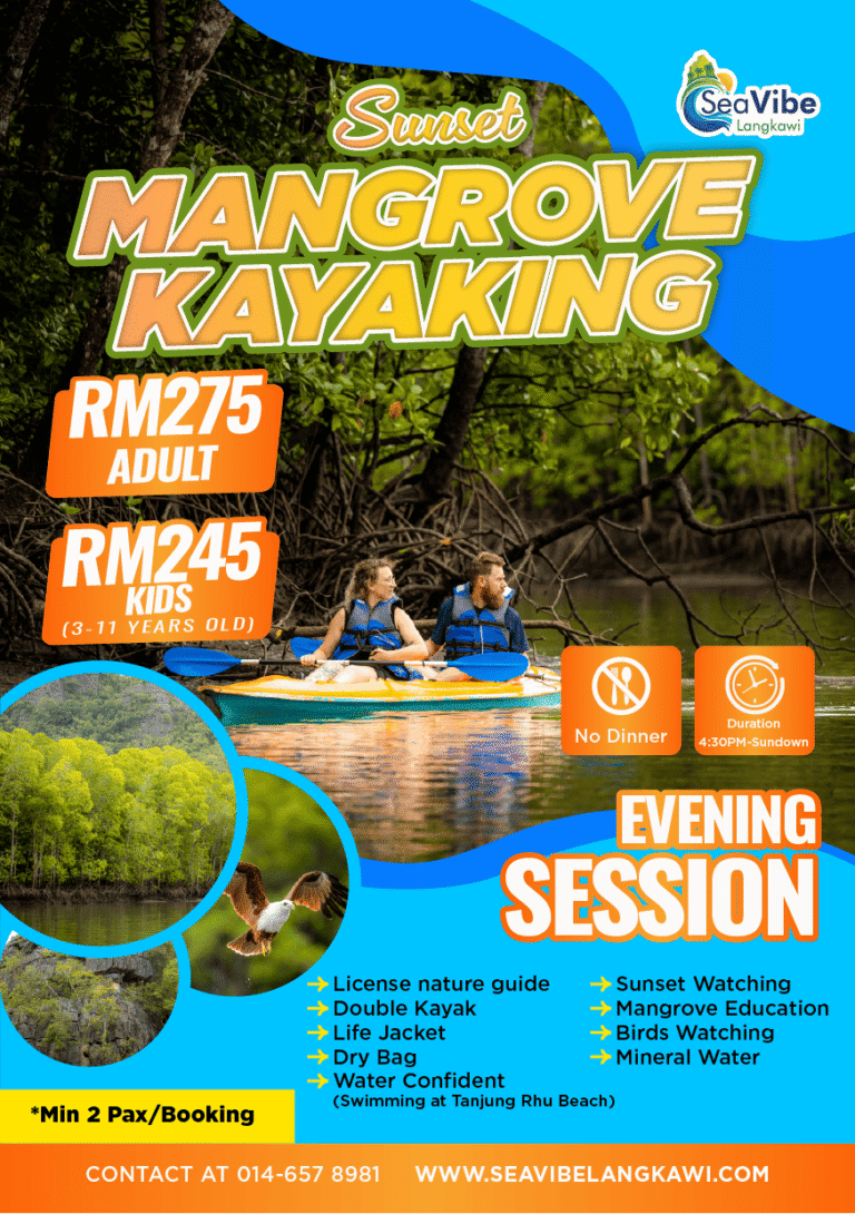 Evening Kayak No Transport