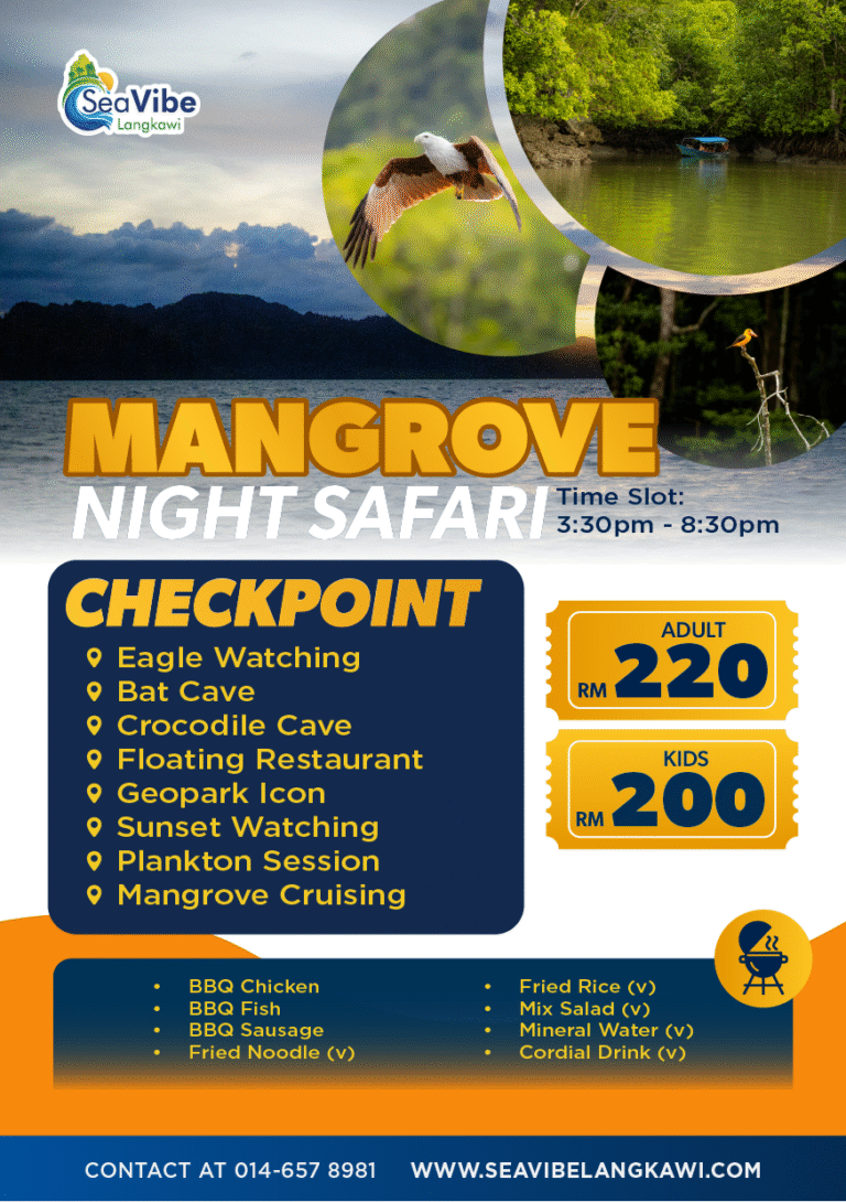 Mangrove Night Safari